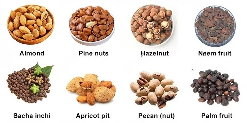 Multi-Function Nut Dehulling Line Customized Macadamia Sheller Palm Kernel Separator Almond Hazelnut Cracker Best Seller