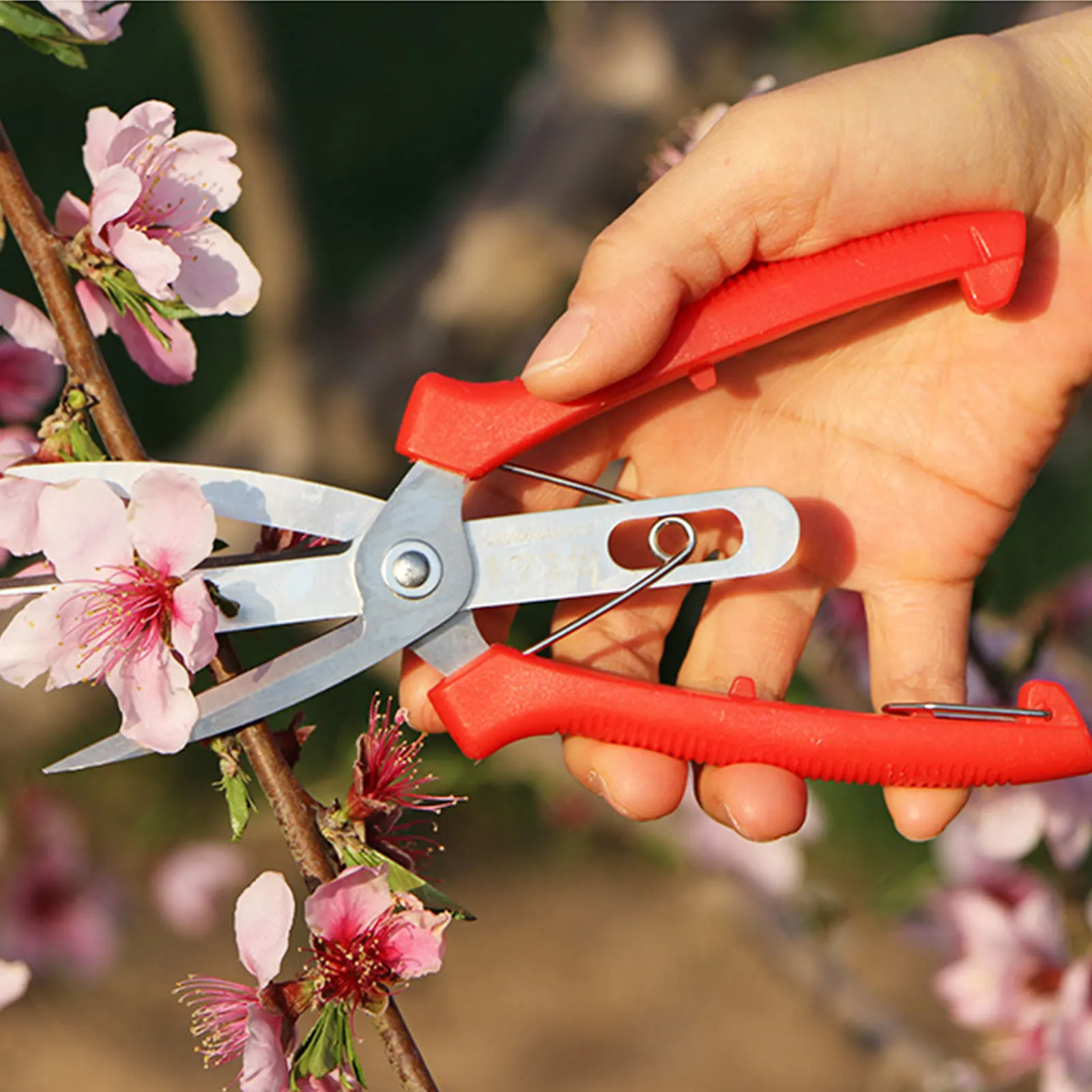 

Agriculture Thinning Scissors Double-port Fruit And Flower Thinning Shears Multi-use Pruning Fruit Tree Cultivating Pruning Tool