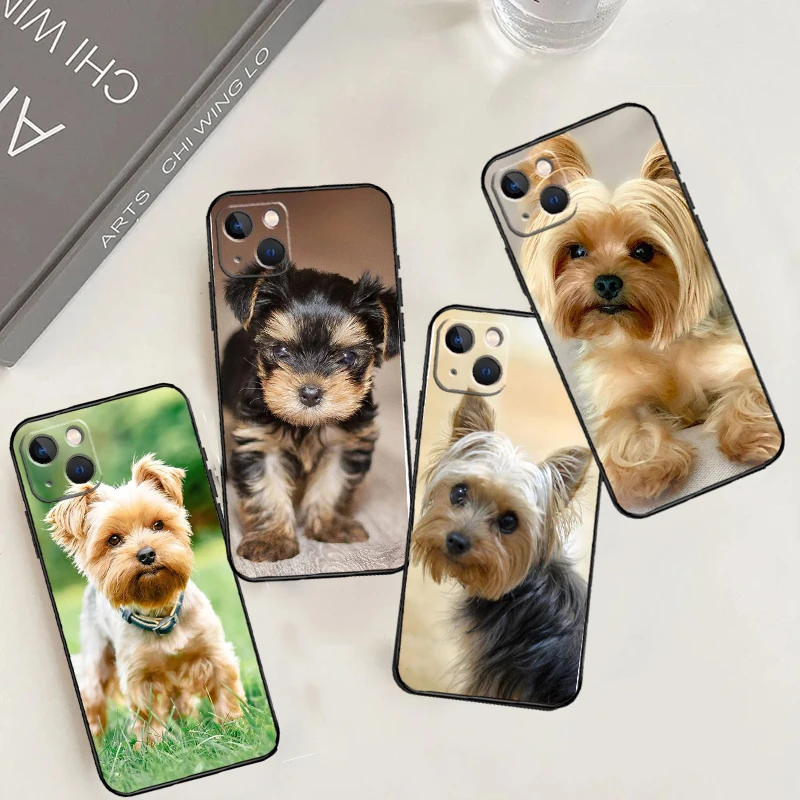 Yorkshire Terrier D… - image