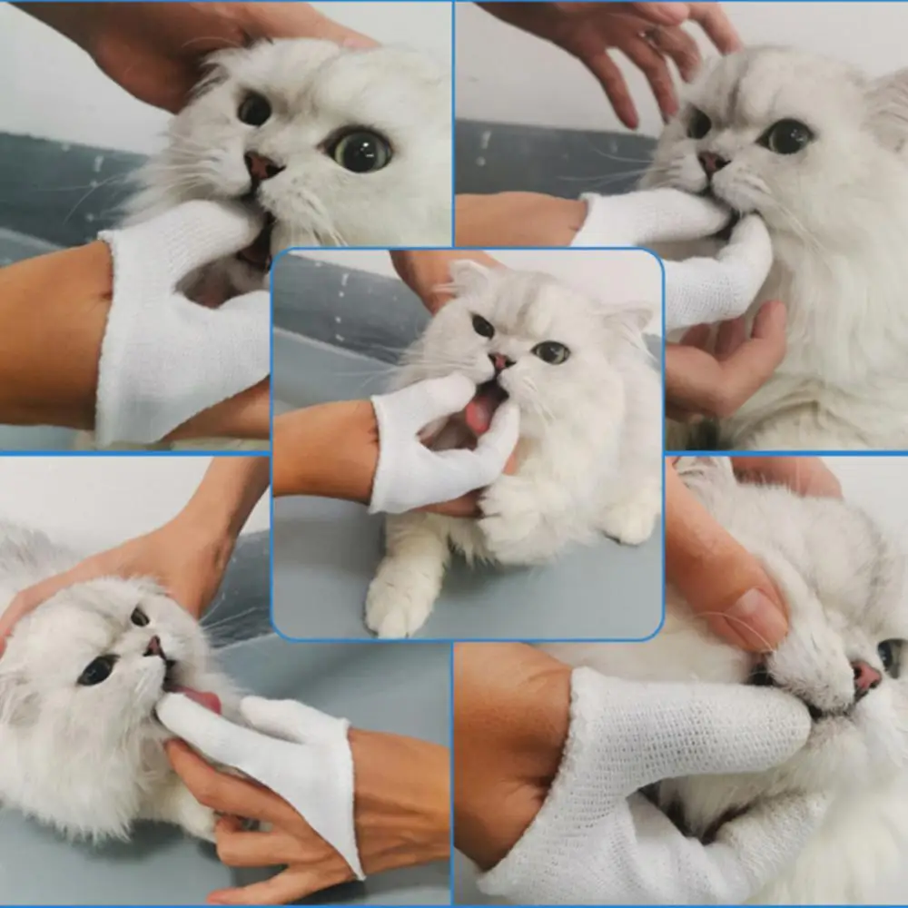 1/2/3PCS Pet Two-finger Brushing Finger CotsPuppy Teeth Oral Cleaning Tool Kitten Finger Toothbrush Care Products