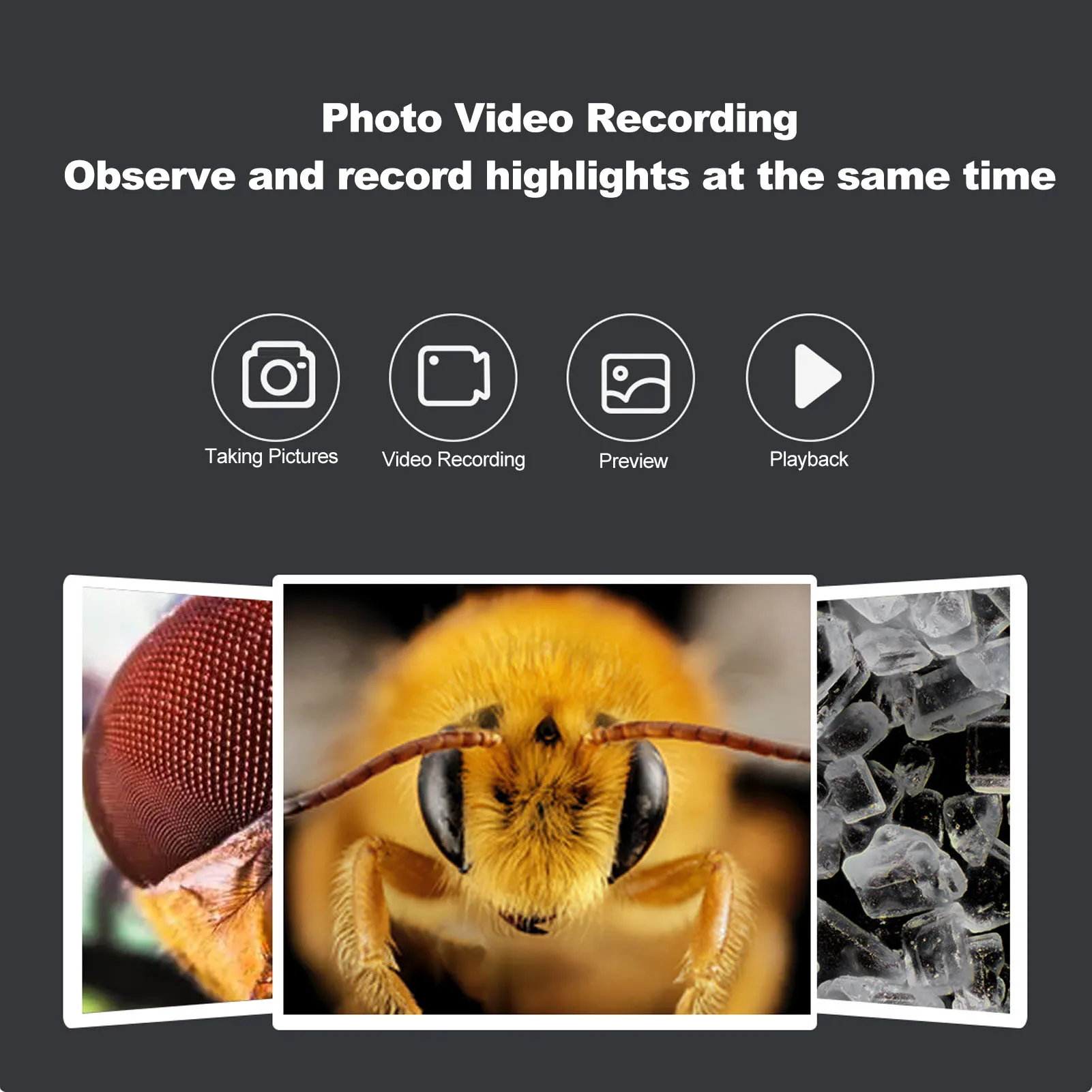 1000X HD-Mikroskop, 0–40 mm, Fokussierbereich, 8 einstellbare LEDs, USB 5 V, Handmikroskop mit Kabel für die Lehrdemonstration