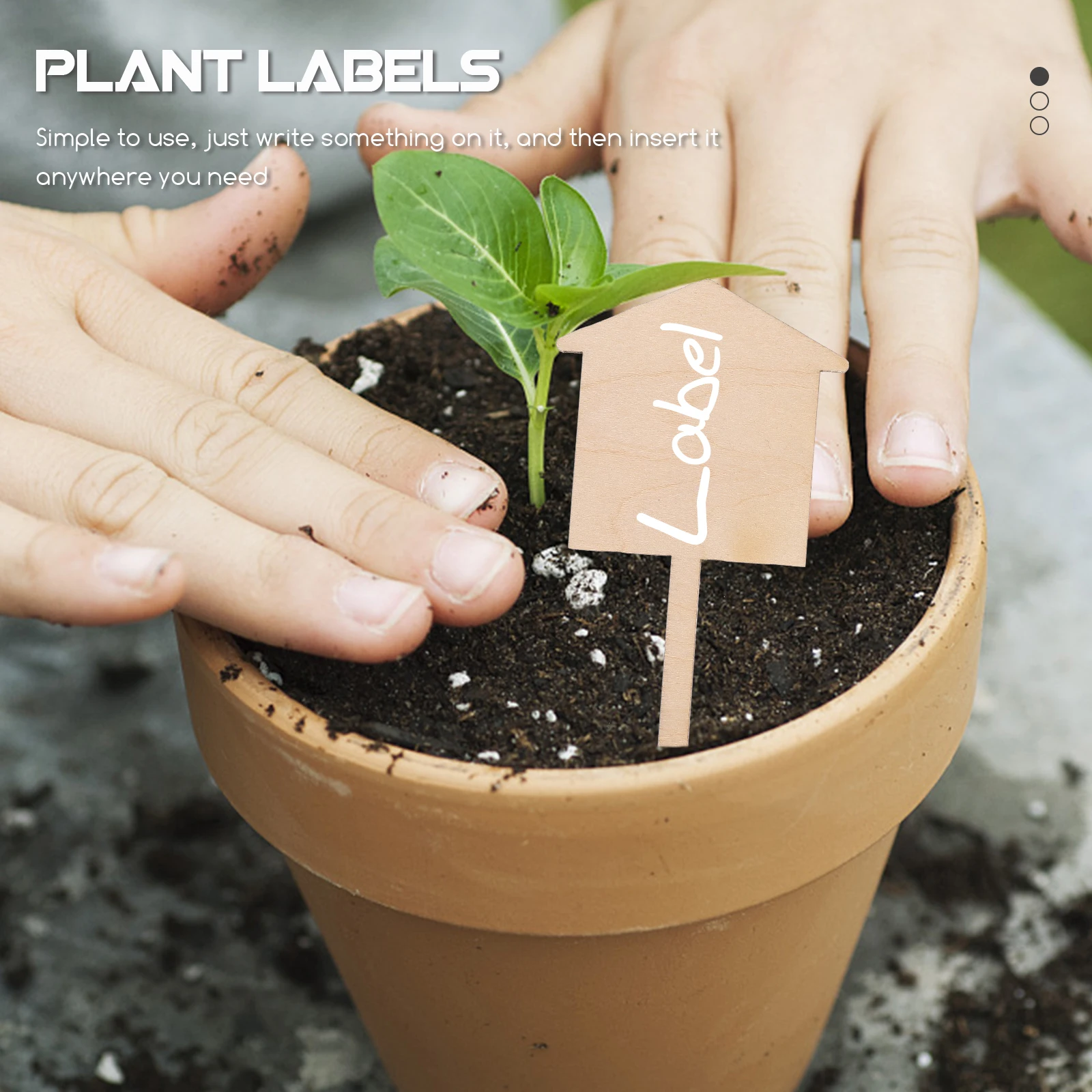 

50pcs Blank Wooden Plant Labels Name Tags Gardening Stakes Garden Markers Flower Pot Decoration Planting Signage