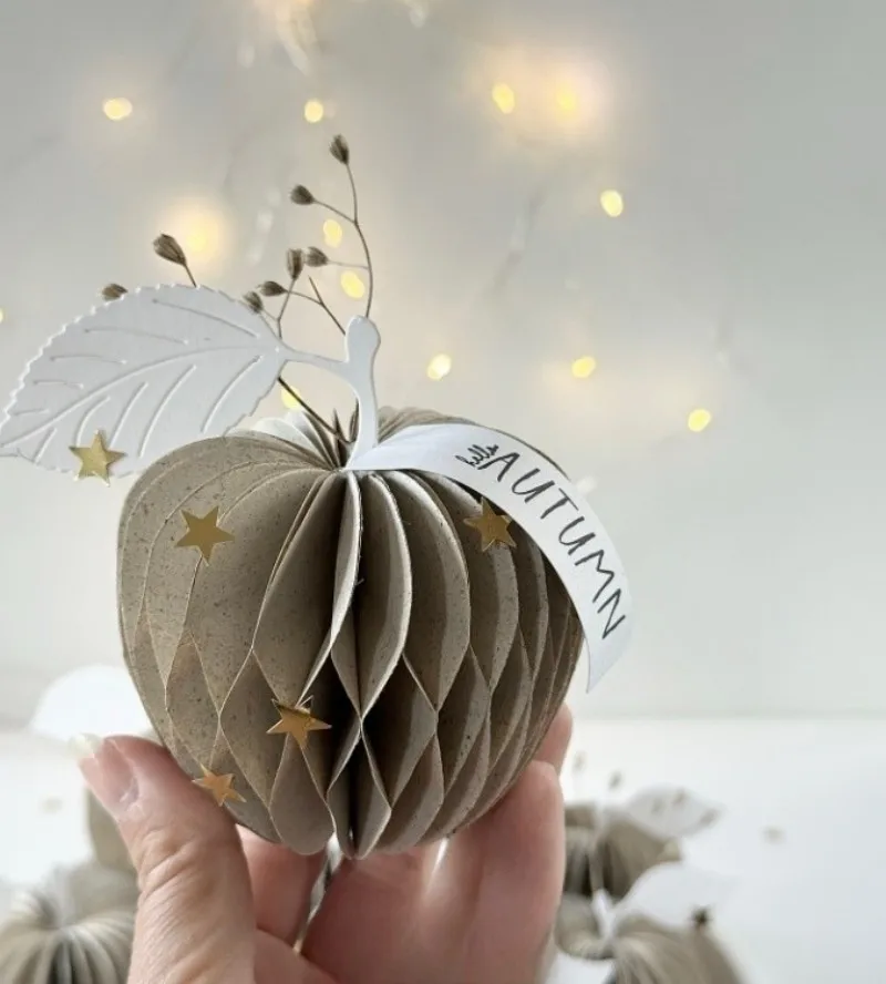 Piggy Craft metal cutting dies cut die mold 3D Folded apple flower Scrapbook paper craft knife mold blade punch stencils dies view 2