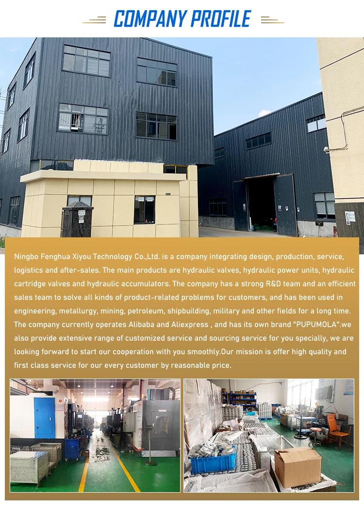 Válvulas direcionais solenóides Hawe VP1Z-G24 Válvula solenóide