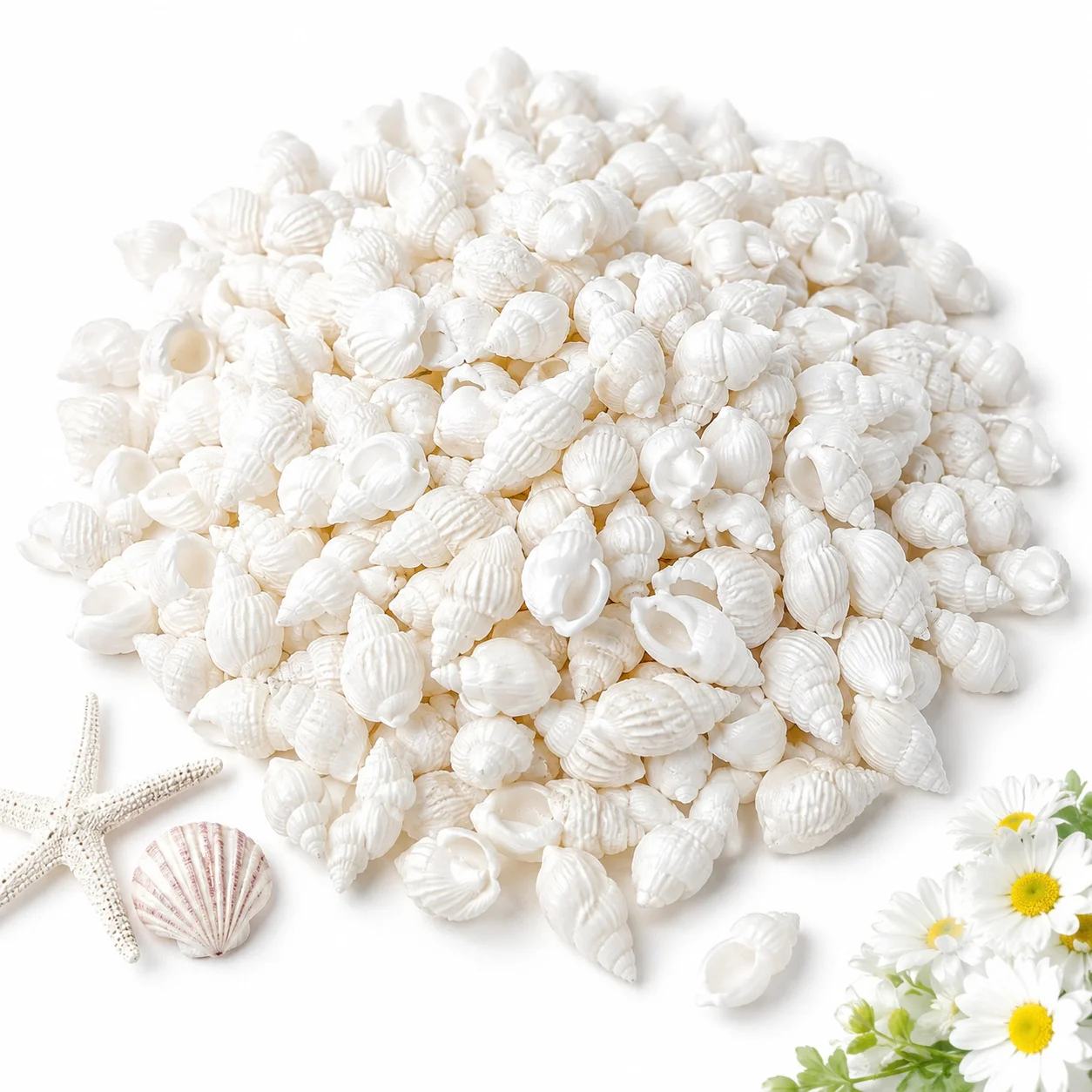 200 Conchas Marinas Blancas Naturales para Manualidades, Conchas Decorativas Pequeñas al por Mayor, Mini Conchas Marinas para DIY, Bodas en la Playa, Relleno de Jarrones