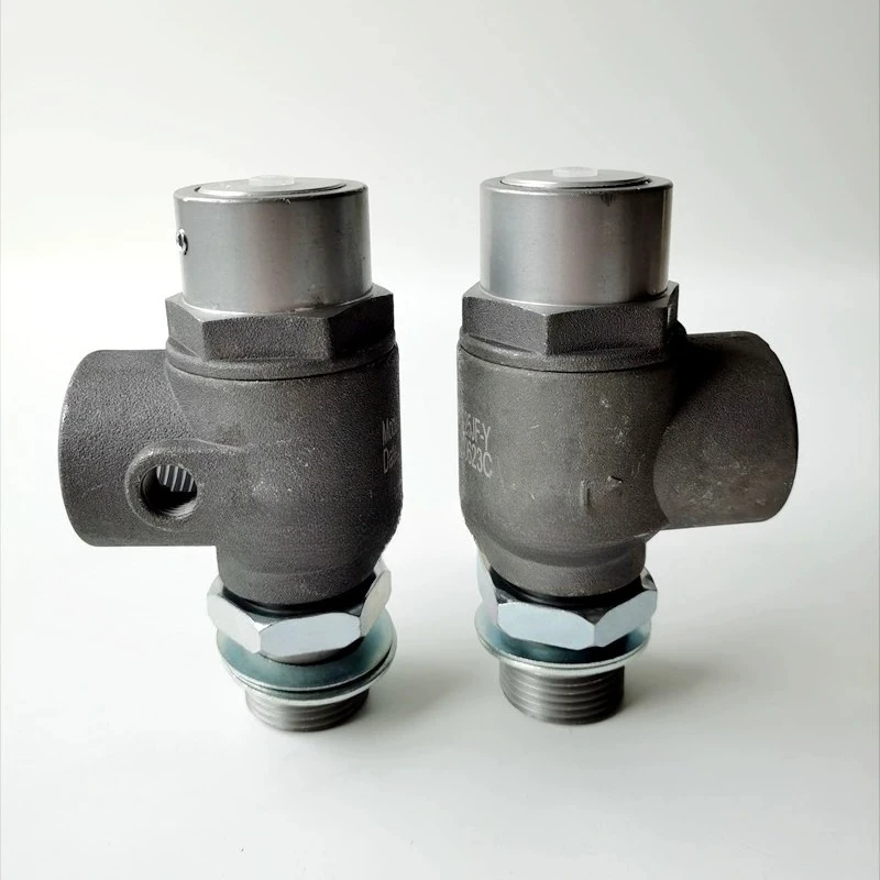 

Screw Air Compressor Minimum Pressure Maintenance Valve MPV-20JF-25JF-32JF-Y Pressure Maintenance Valve