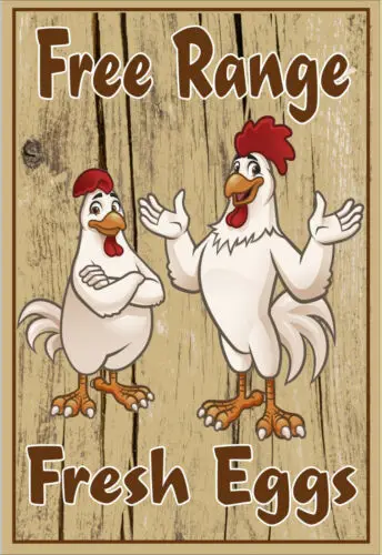 free range eggs, eggs for sale sign, farm sign, tin sign , metal sign