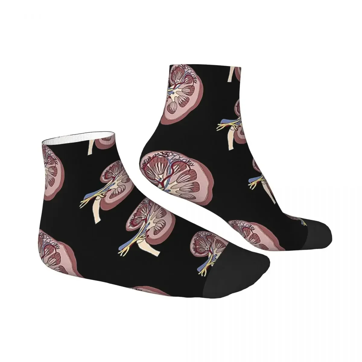 Kidney Anatomy Socks Harajuku Super Soft Stockings All Season Socks Accessories for Unisex Gifts