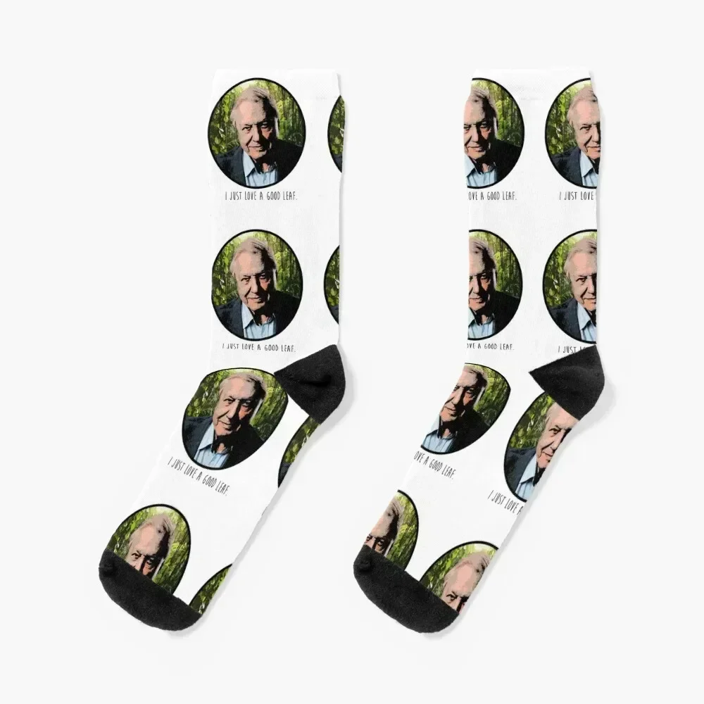 

David Attenborough I Just Love A Good Leaf Socks halloween cycling Men's Socks Luxury Women's