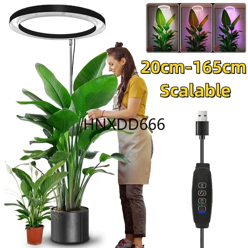 

Height Adjustable LED Ring Grow Lights for Indoor Plants, Full Spectrum Plant Light with USB for Indoor Gardening, 165cm Lamps