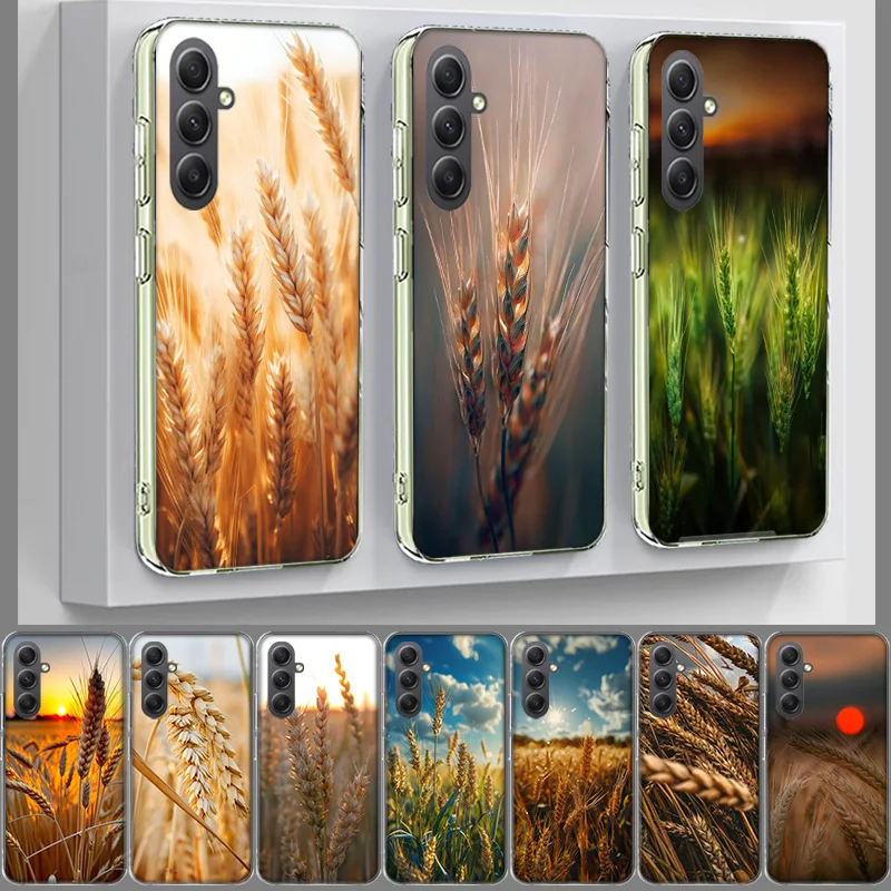 Mature Wheat Grains Cover Phone For Samsung Galaxy A70 A50 A40 A30 A20E A10 A71 A51 A41 A31 A21S A11 A9 A8 A6 Plus A7 A80 A90 TP