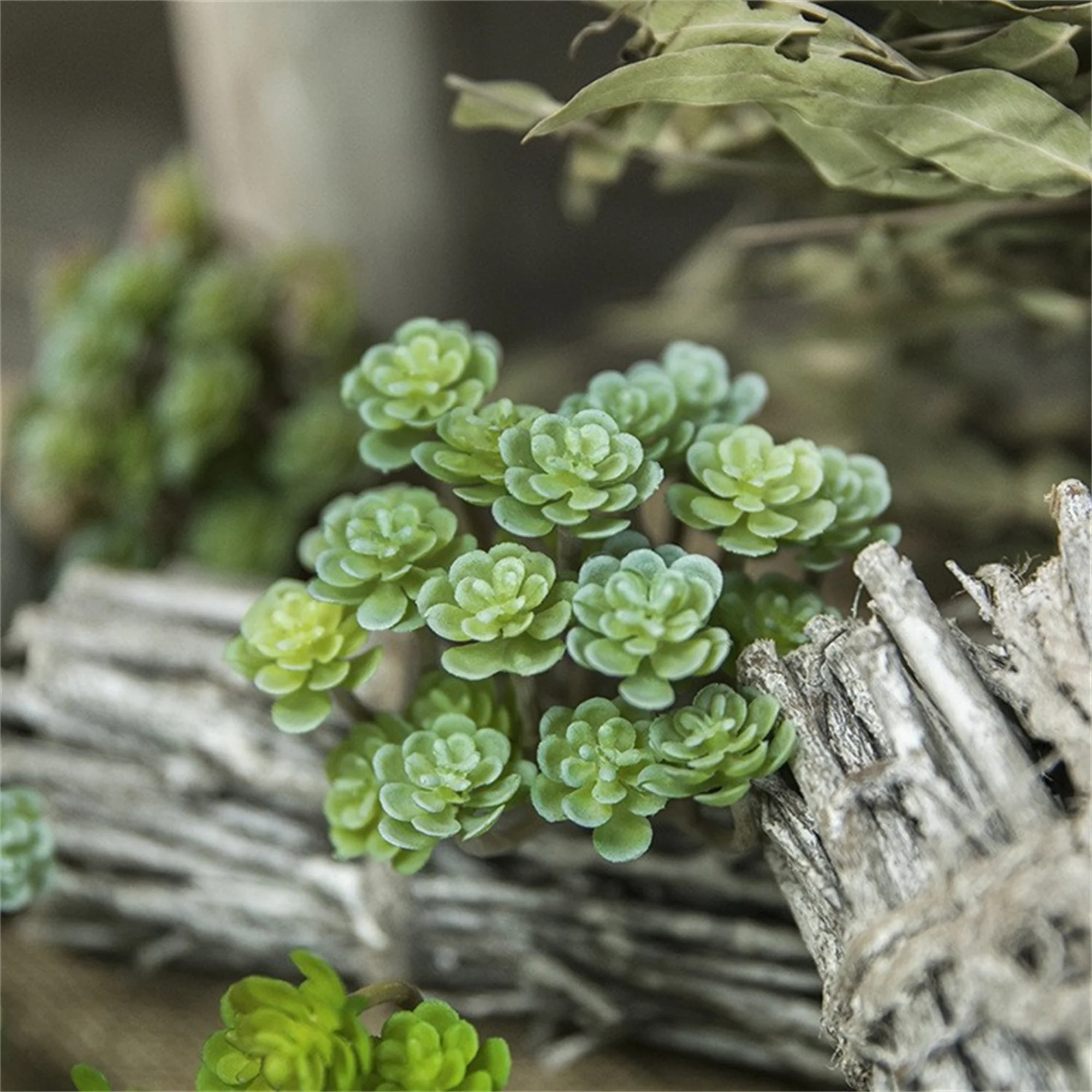 1pc plastic aritificial encrinite Succulent plants,  home decoration shapes realistic colors, natural countryside style