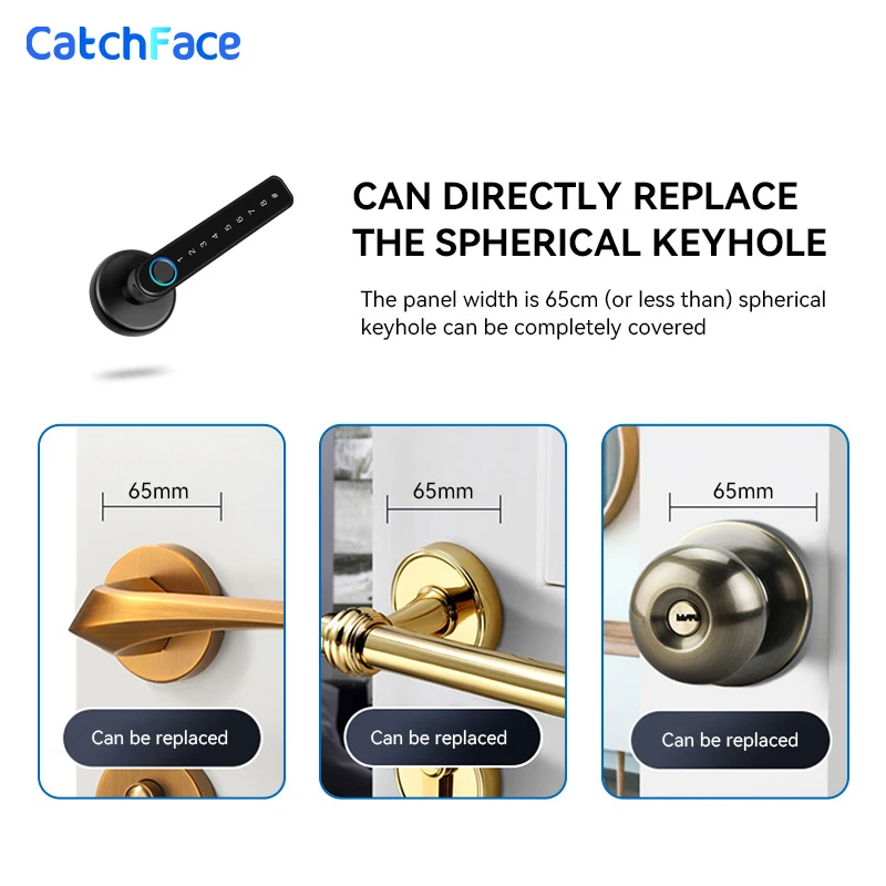 Bluetooth Biometric fingerprint lock Key Gold color TTlock APP Digital Smart door lock Electronic Handle Lock Alexa/Google Home