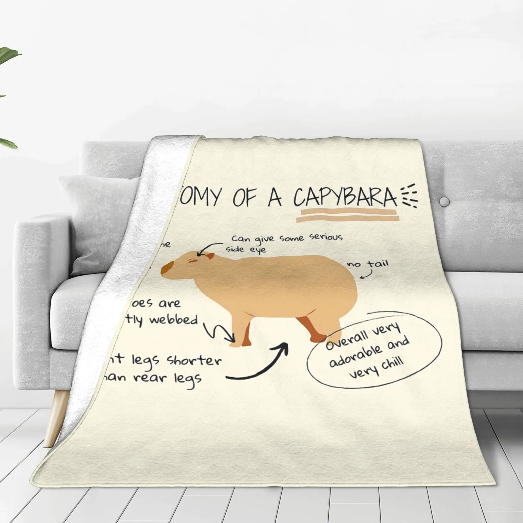 Anatomy of a Capybara Blanket Warm Flannel Sofa Throw Blanket for Couch Bedding Travel Throws Bedspread Quilt