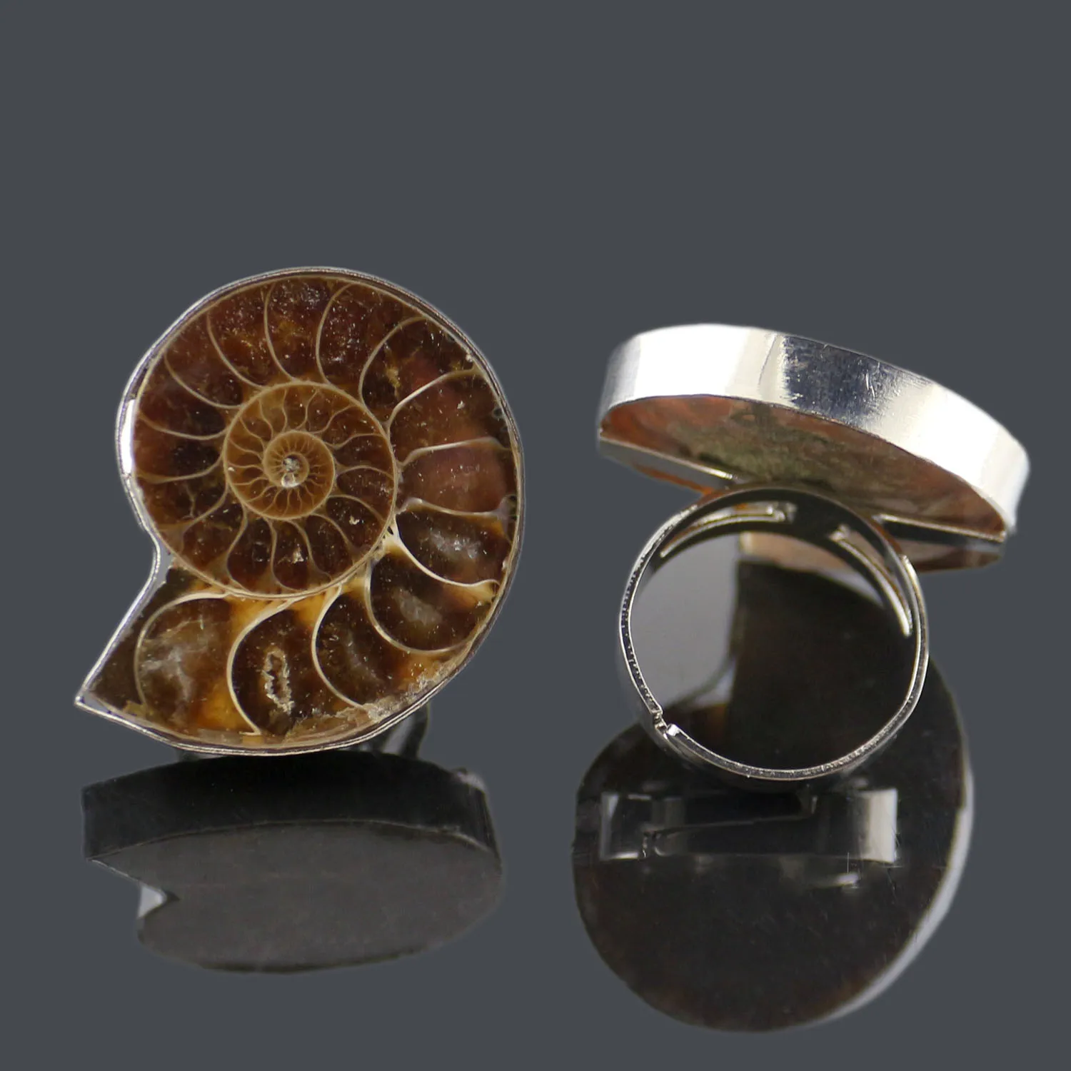 New 2024 Adjustable Ring for Women and Men with Ammonia Conch Shell Flat Natural Stone Ring Fashion Jewelry