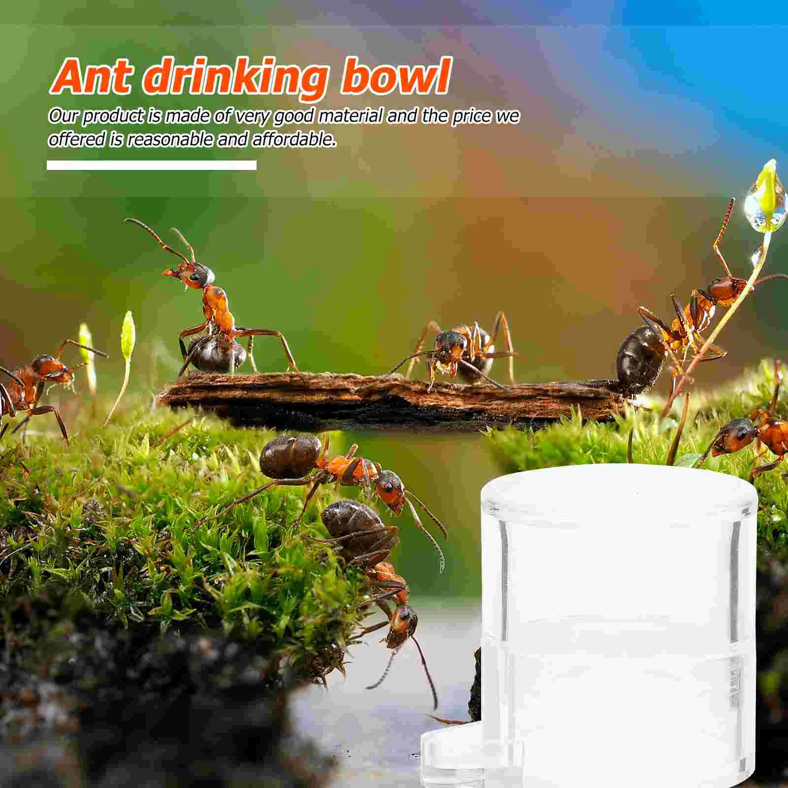 Ant Cat Food Bowls Water Feeder Animal Drinking Tool Automatic Nest Feeding