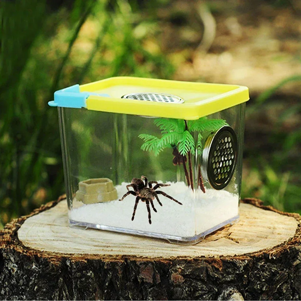 Acrylic Transparent Breeding Box for Reptiles Spiders Lizards Mantis Breeding Box Insects Pet Animals Cages Reptile Accessories