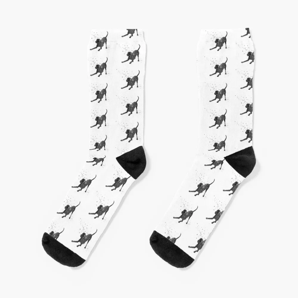 Labrador, Black Labrador Socks sport designer New year's happy Women's Socks Men's