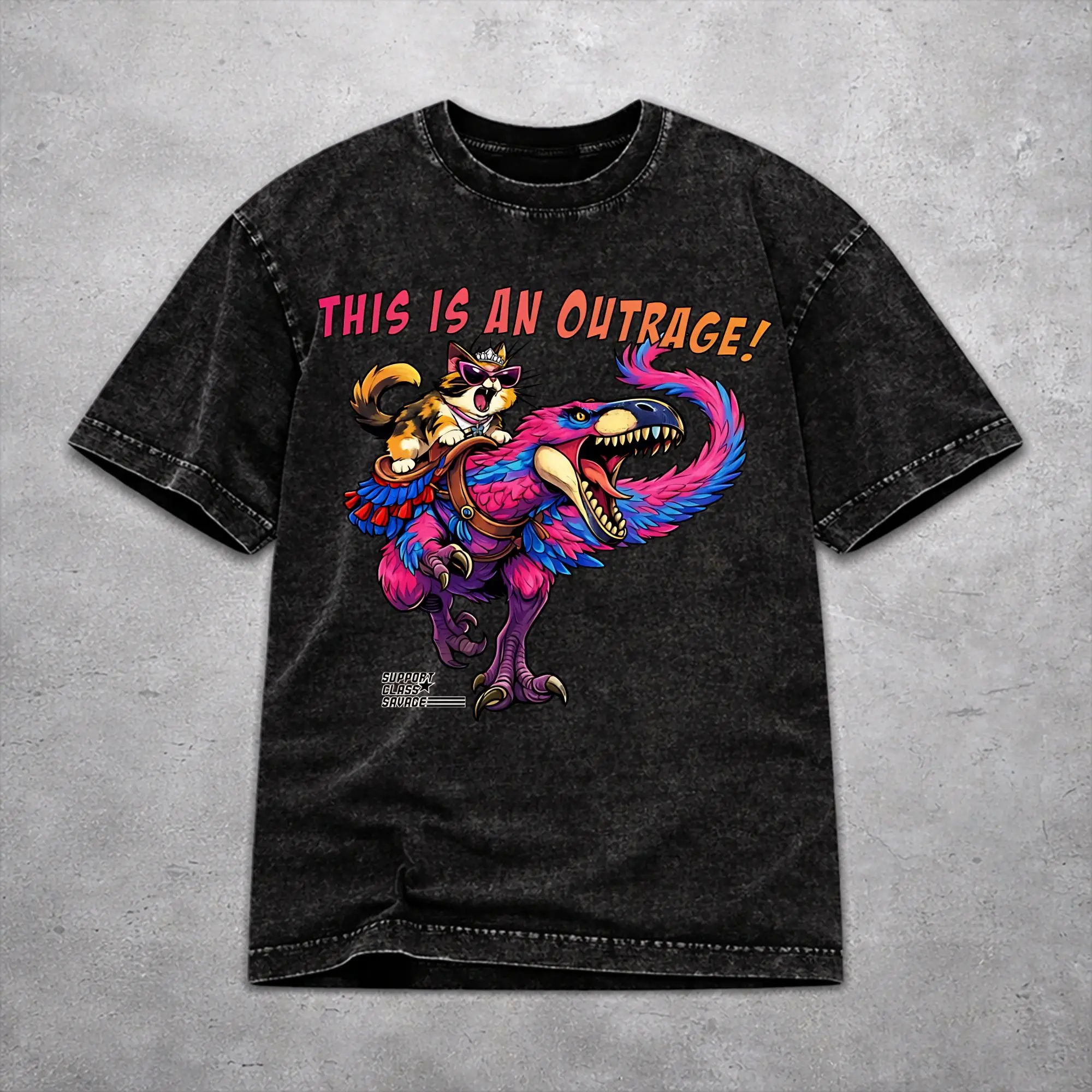 This Is An Outrage Princess Donut Cat  T Shirt Washed Style For Men Women Pure Cotton T-Shirts Tee Tops