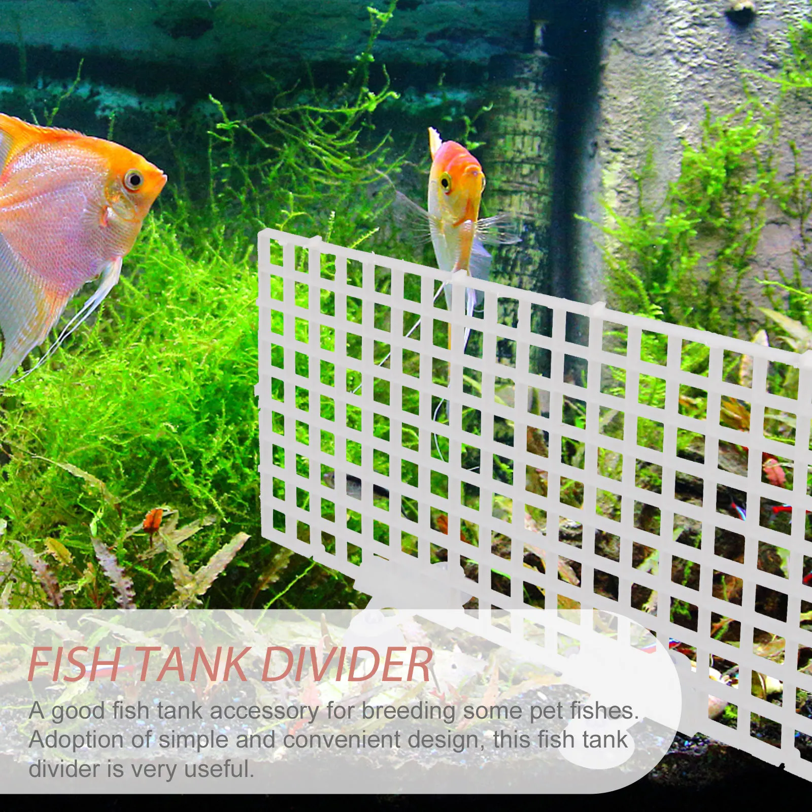 

1Set Fish Tank Divider Durable Aquarium Isolation Board Practical Fish Breeding Divide Board Aquarium Accessory