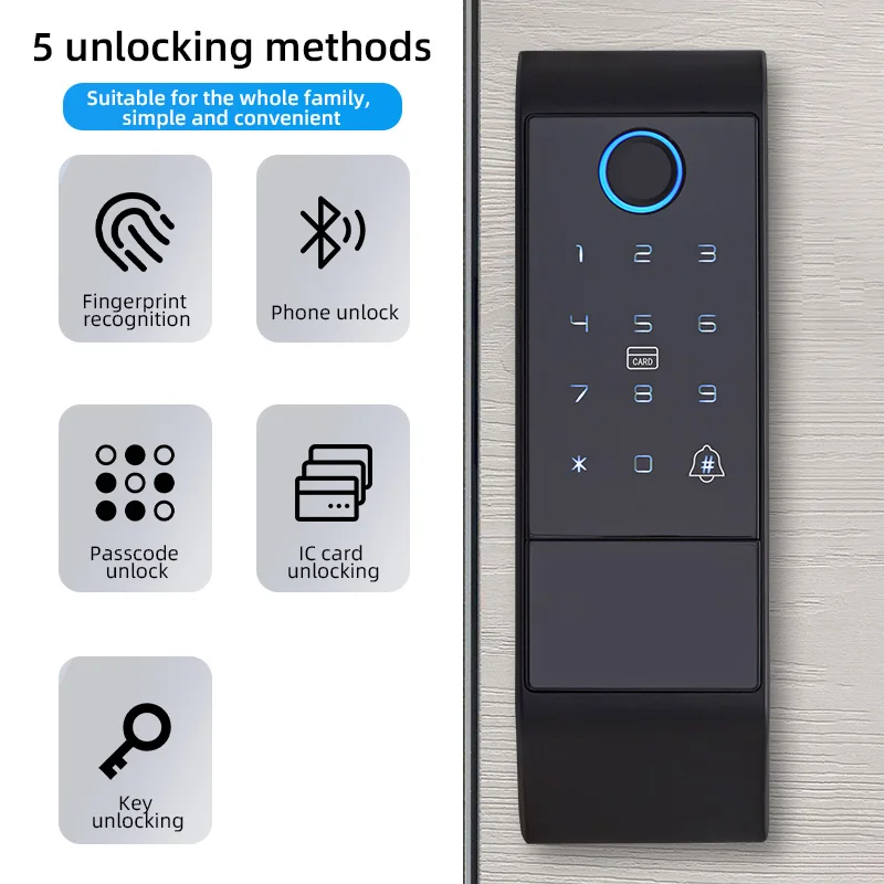 Smart Door Lock Keyless Wifi Biometric Fingerprint Electric Rim Lock External Anti-theft Bull Head Lock