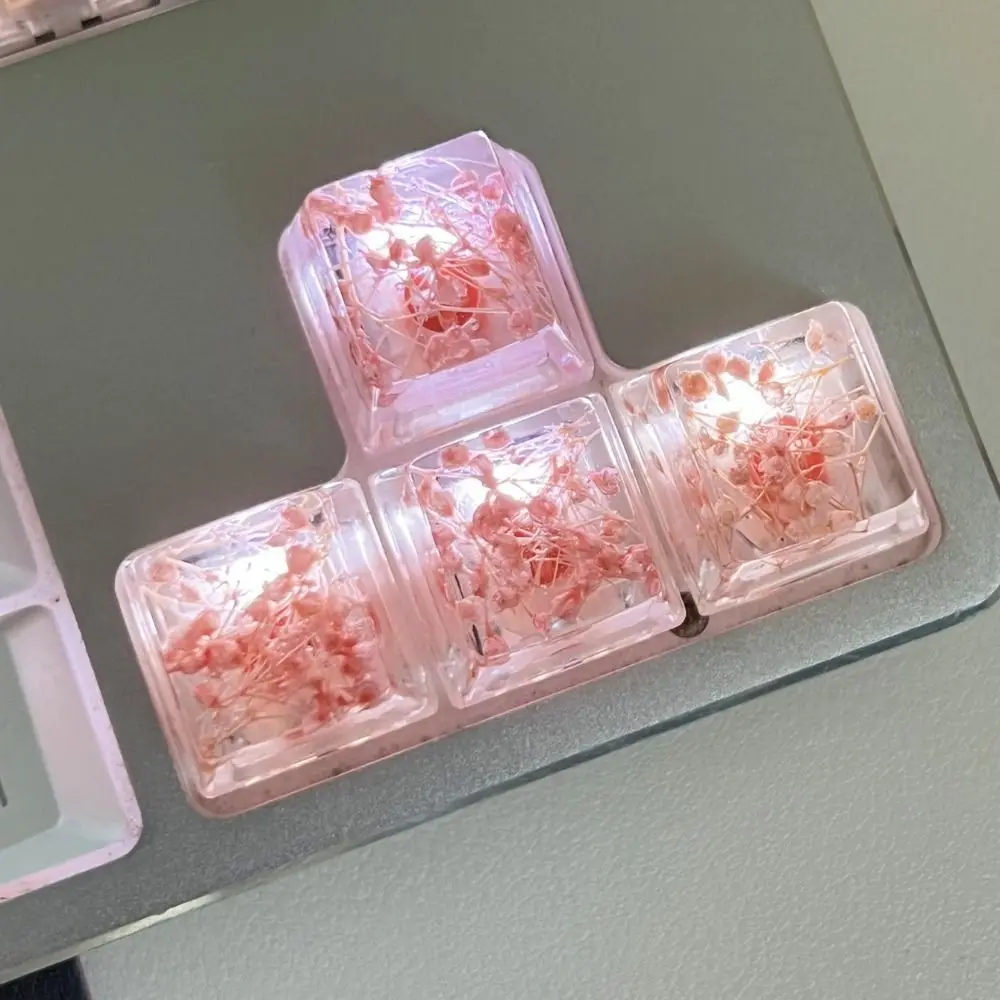 Translucent Dried F…