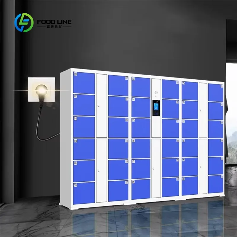 Customized Self-Service Intelligent Cabinet Delivery Parcel Locker Smart Luggage Locker Digital Locker with Screen