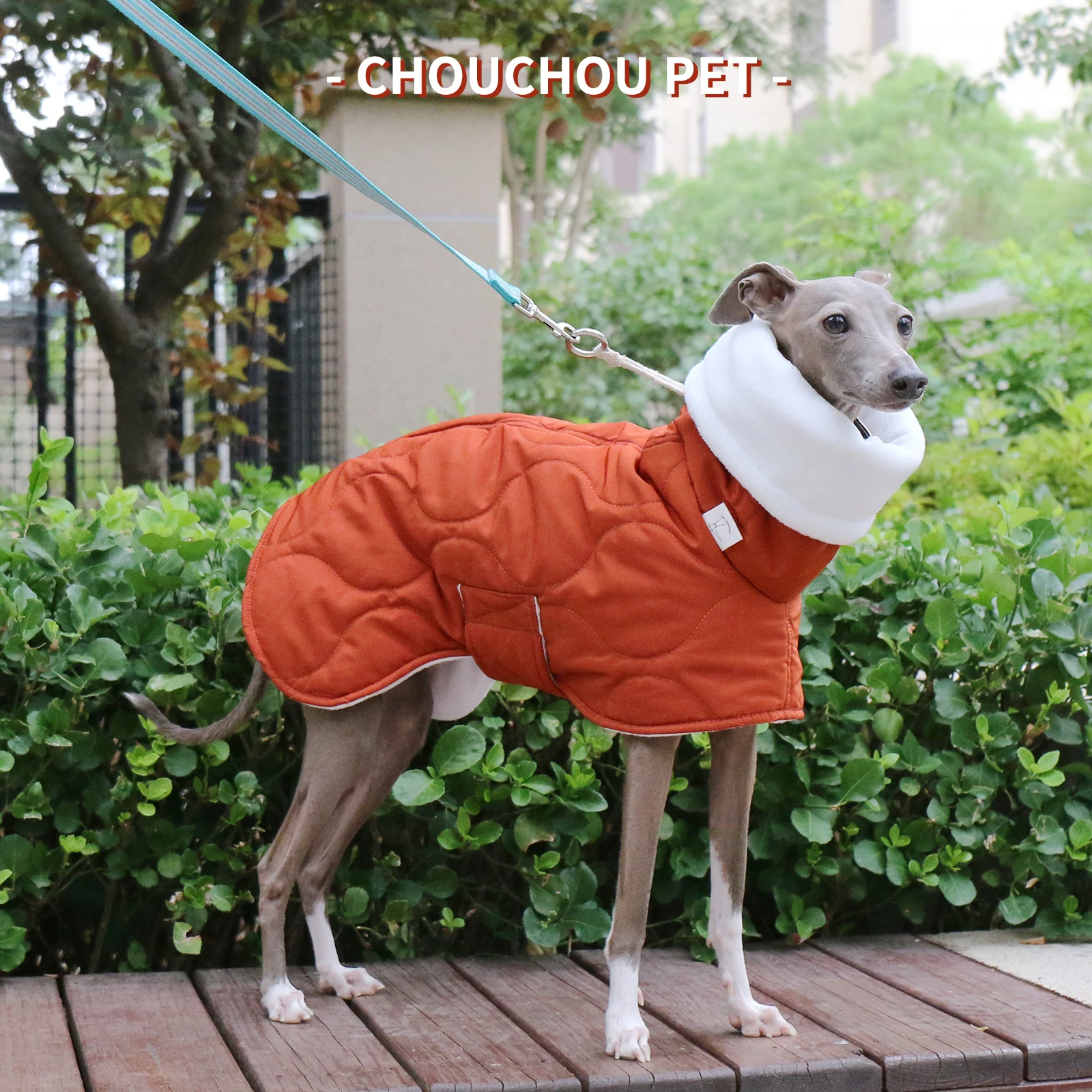 Winter Dog Outer orange Quilted Turtle Collar Dog Coat Warm Italian Greyhound Adjustable Cotton Whippet