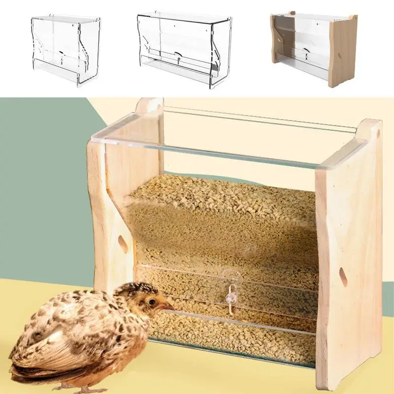 Quail Feeder 4 Clear Chicken Food Dispenser Chicken Feeder Practical Box Bowl Portable Easy To Install Detachable Quail Accesery