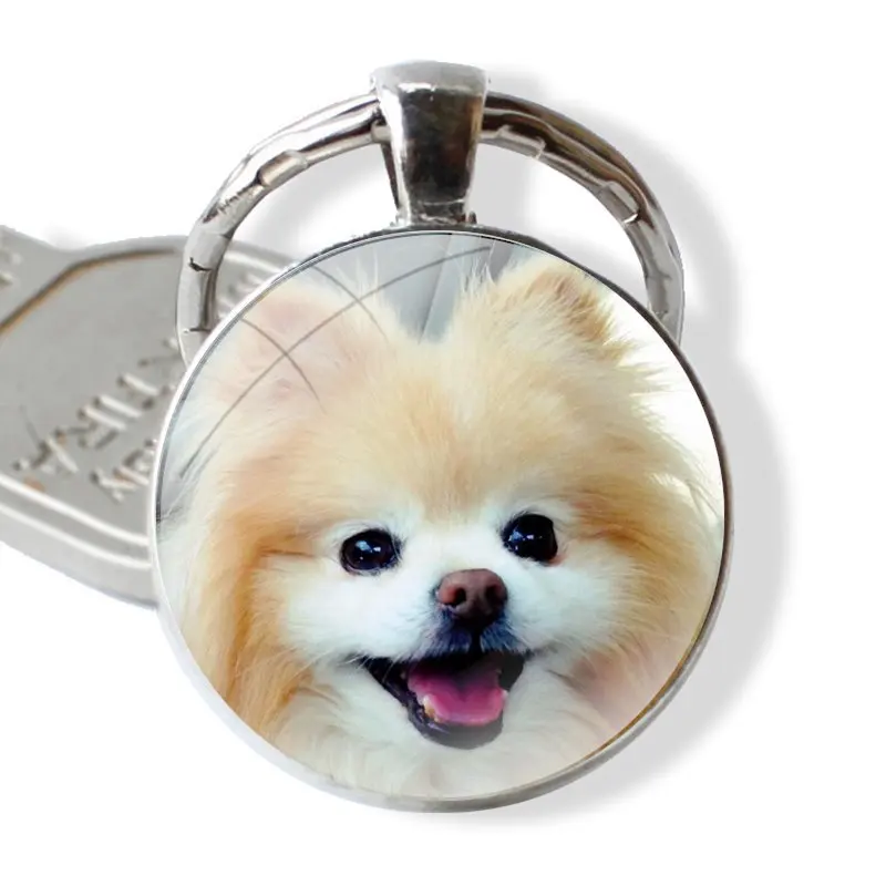 Accessories Phone Cases Covers glass cabochon keychain Car key chain Charms keychains Gifts Pomeranian dogs