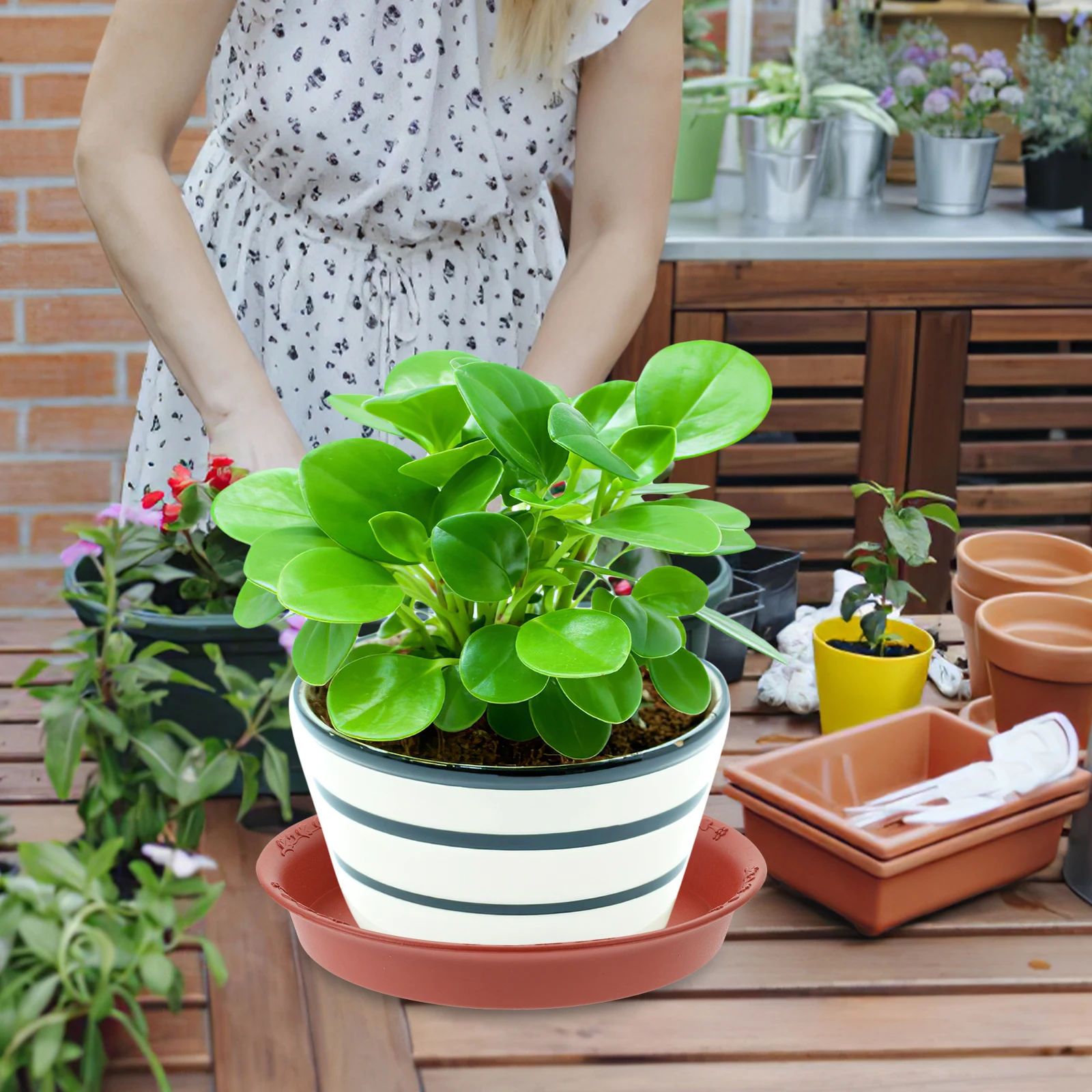 

10pcs Flower Pot Saucer Plant Tray Round Drip Trays for Potted Plants Black Brown 140mm Garden Use