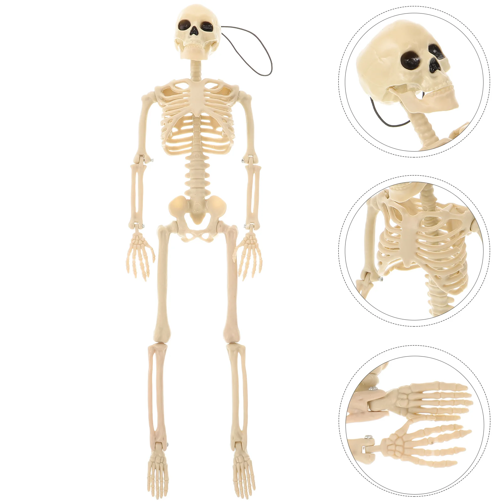 زخرفة الإطار نموذج بلاستيكي عالي الجودة ديكور الهالوين داخلي وخارجي تخطيط المشهد وسائل تعليمية #3