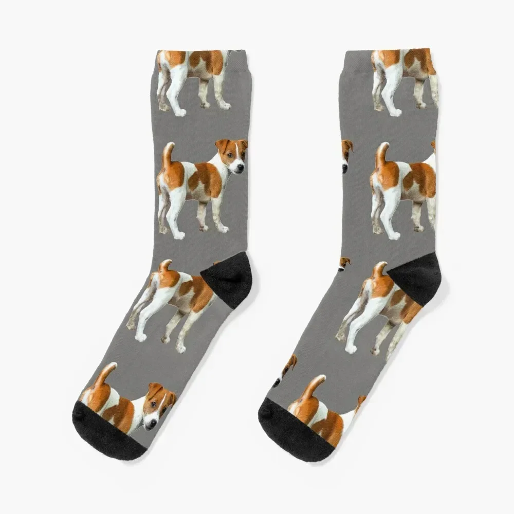 Jack Russell Terrier Cute Puppy Dog Socks sports and leisure cartoon new in's Antiskid soccer Designer Man Socks Women's