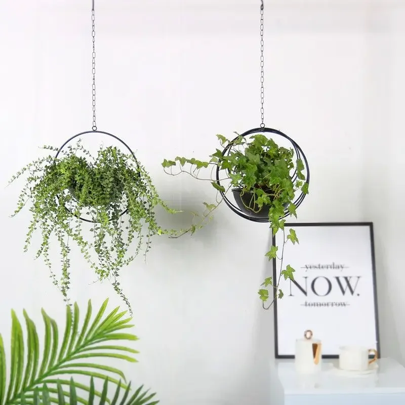 Hanging Basket Flowerpot Ironwork Large Chlorophytum Comosum Green Plants Hang Semi-circular Flower Vase Courtyard Decoration