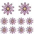 PE10582CT