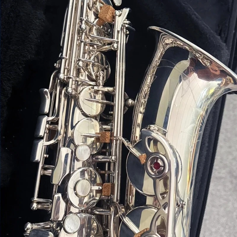 2026 Hot New New Al… - image