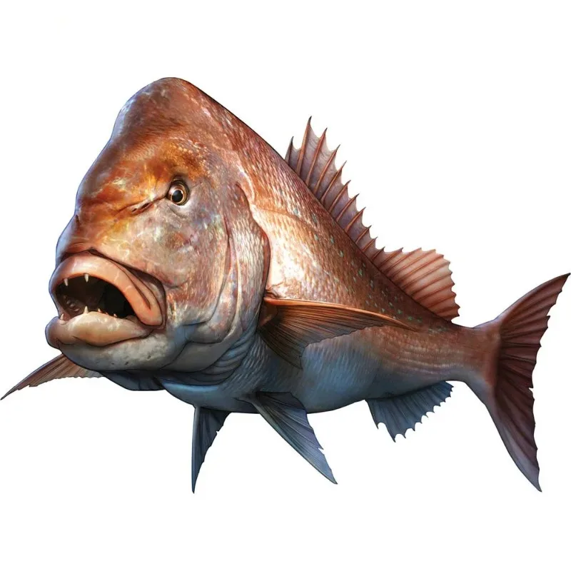 

25x18cm Exterior Accessories Decal Fashion Car Sticker Large Mouth Bass Fish Fishing Pagrus Major Boat Kayak Automobiles Decals