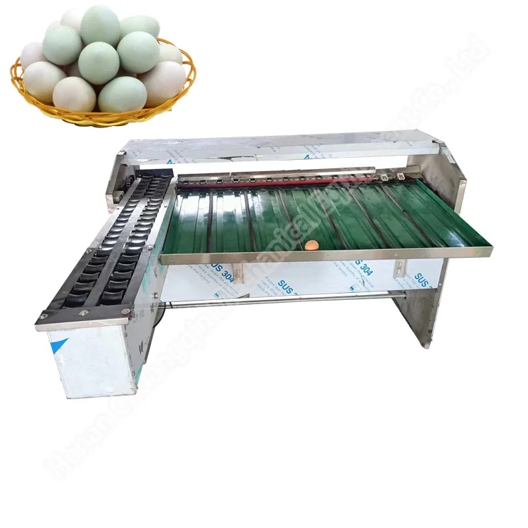 Industrial Stainless Steel Egg Weight Grader  Egg Grading Machine 7 Level Chicken Farm Egg Sorting Machine