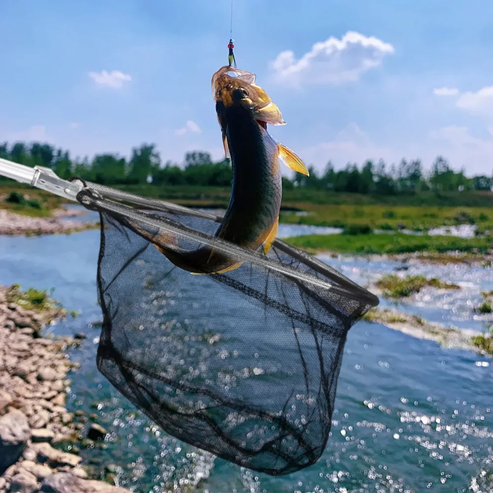 Jaring Ikan Lipat dari Paduan Aluminium, Jaring Ikan untuk Memancing Ikan Mas, Jaring Tangkap dan Lepas