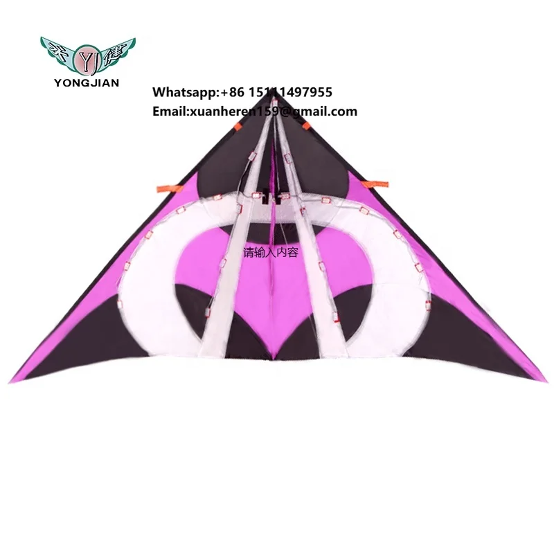 Guaranteed Quality Custom Promotional Cartoon Swallow Lager  Led Light 3D Kite
