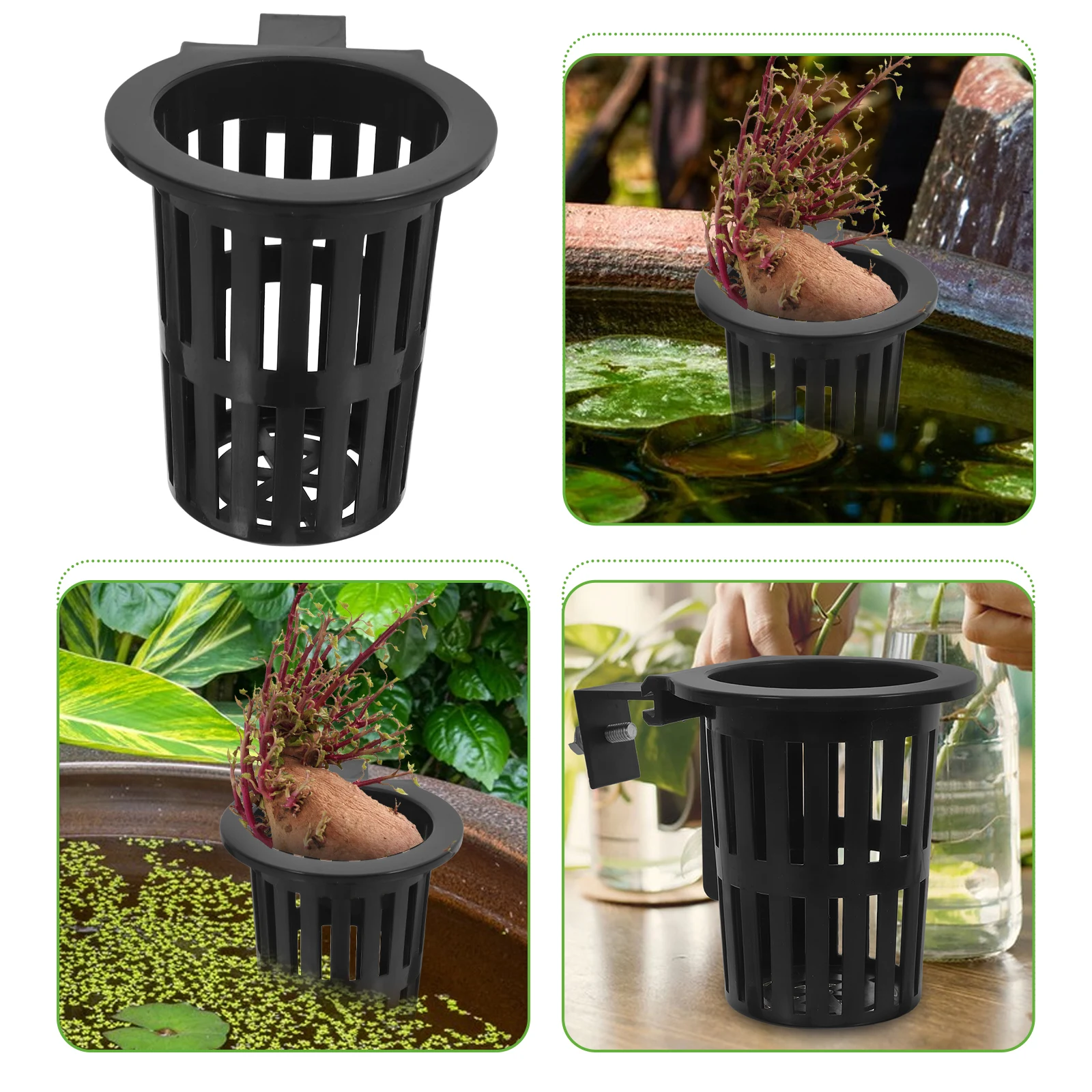 

2 pcs Hydroponic Sweet Potato Basket Wall Mounted Plant Holder Decorative Baskets Aquatic Plants Fish Tank Net Cups Space Saving