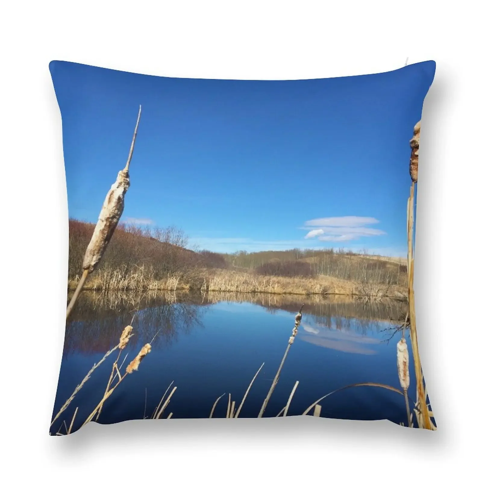 

Alberta Pond Throw Pillow Cushions For Sofa Pillow Case christmas pillowcases pillow