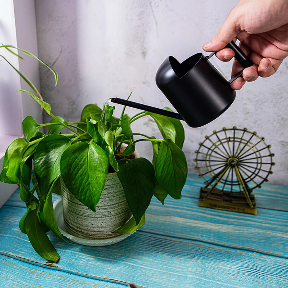 

Stainless Steel Watering Pot Long Spout for Succulents Indoor Outdoor Plant Care Gardening Tool Watering Kettle