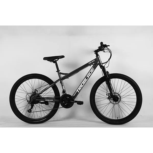 Suministro de personalización Bicicleta de carretera barata y atractiva