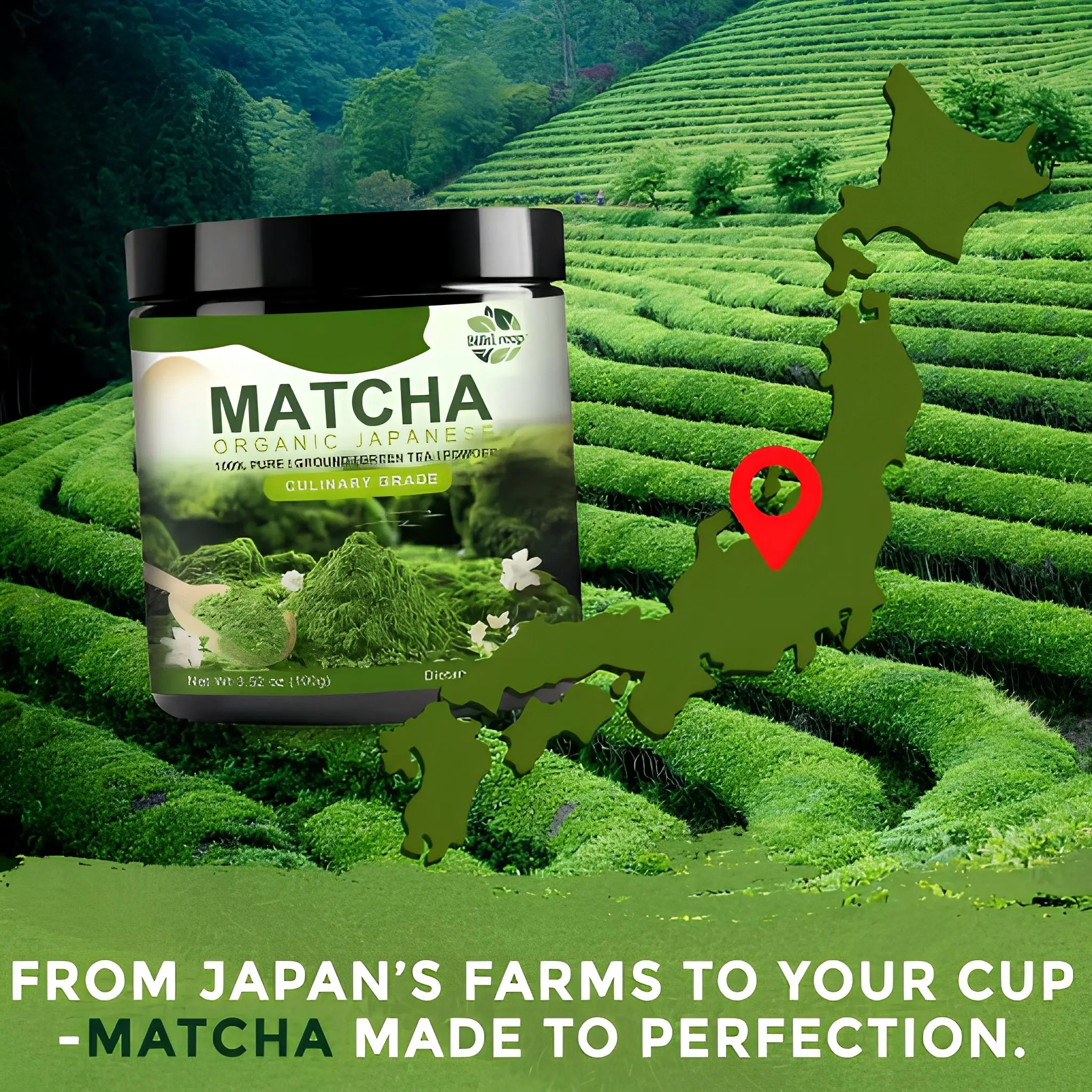 Japanese Organic Matcha Green Tea Powder, Pure Natural Tea Powder Antioxidant & Natural Energy Support For Health Maintenance