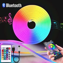 USB RGB 네온 LED 스트립 블루투스 앱, 리모컨 방수 네온 스트립 라이트, 홈 룸 장식 조명용 RGB 스트립, 5V