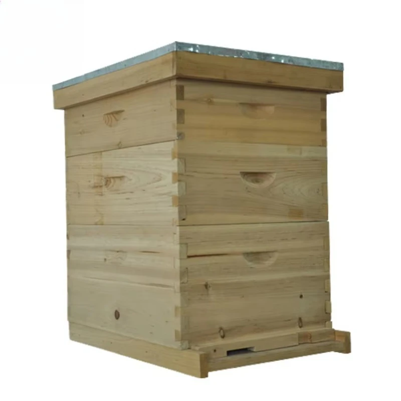 Alvive in legno 8 e 10 telai Alvive per api