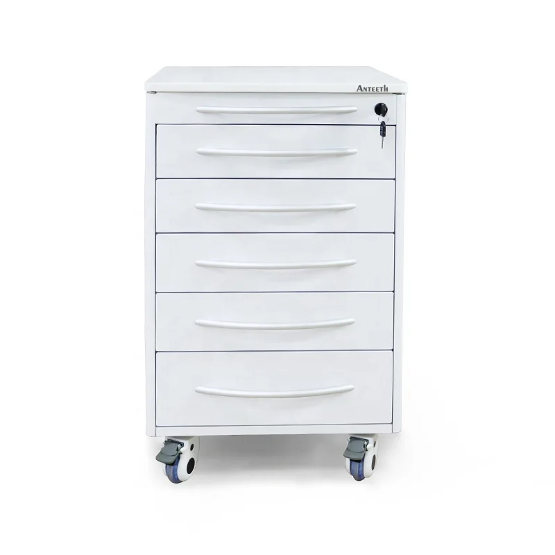 Beauty Salon Cabinet Mobile Stainless Steel Dental Cabinet Customize Storage Tool Cart for Beauty Salon Spa Equipment
