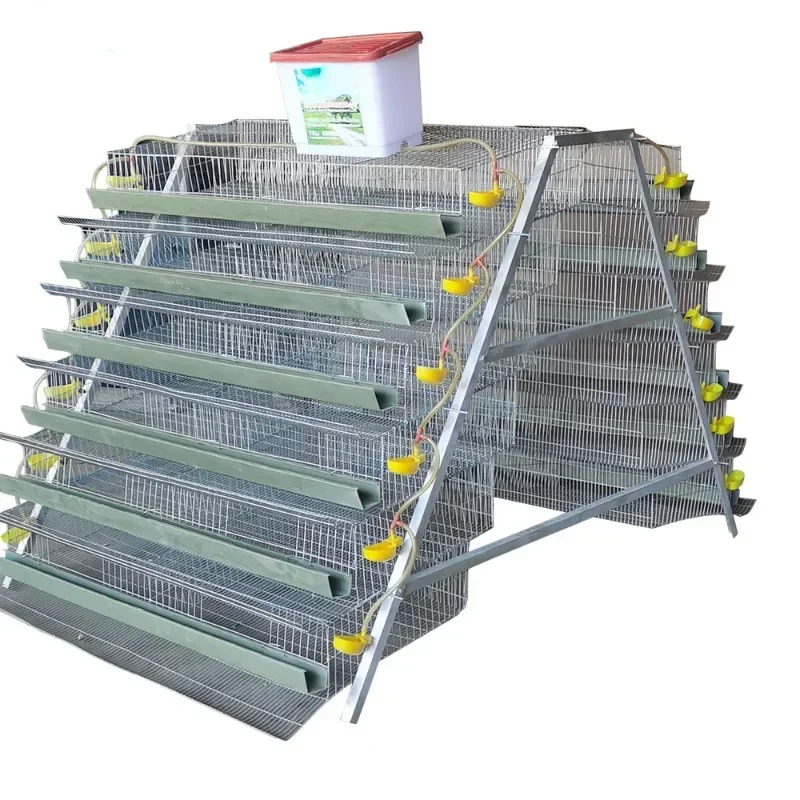 Hot Galvanized Automatic Poultry Farming Battery Quail Cages For Egg Production