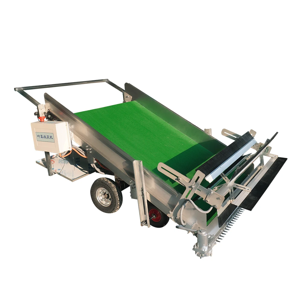 Self-propelled Vegetable Cutting Harvesting Machine Lettuce Harvester Leaf Vegetable Harvester